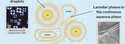 Чем так хороши ламеллы - коротко на примере ламеллярного молочка для тела Krassa Yuzu Aroma
