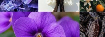 Убийственно дерзкая женственность - Guerlain Insolence EDP