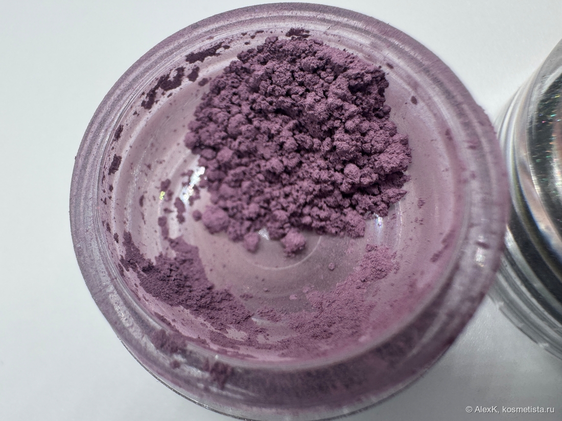 Княжеский сокольничий