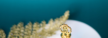 Acqua Roberto Cavalli EDT. Лучшая итальянская акватика