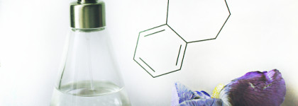 Adr-ett Nomenclature EDP изящество и красота синтетического мускуса