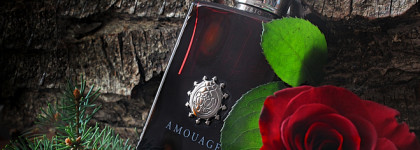 День роз в парфюмерии