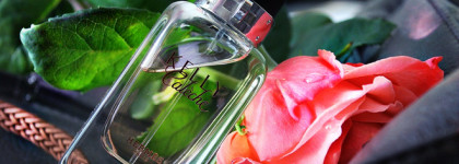 История сложных отношений с прекрасной розой Kelly Caleche Hermes