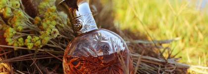 Safari Ralph Lauren - аромат, пробуждающий ольфакторную память