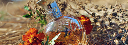 Safari Ralph Lauren - аромат, пробуждающий ольфакторную память