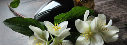 Топ - 5 ароматов, проверенных временем