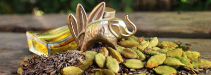 Kenzo Jungle L'Elephant Kenzo EDP - специево-пряный восток