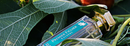 Premier Figuier Extreme L'Artisan Parfumeur EDP - гамма запахов инжира