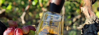 Terre de Sarment Frapin EDP - земля виноградников