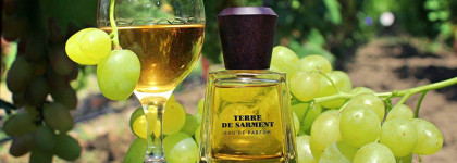 Terre de Sarment Frapin EDP - земля виноградников