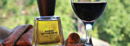 Terre de Sarment Frapin EDP - земля виноградников