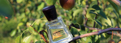 Laskarina Frapin - алкогольная, древесно-амбровая груша