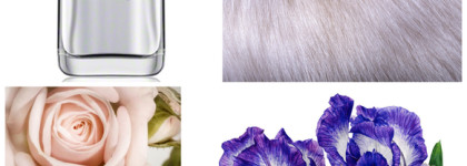 Narciso Rodriguez Essence EDP - элегантный и безупречный мускусно-пудровый аромат