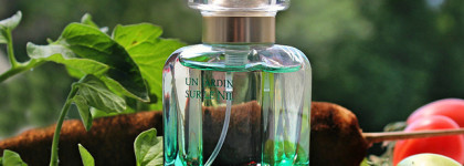 Урожайная осень или дачные ароматы