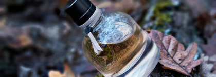 Многообразие современных шипровых ароматов