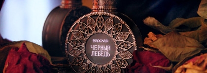 Black Swan Brocard - таинственная красота Чёрного лебедя