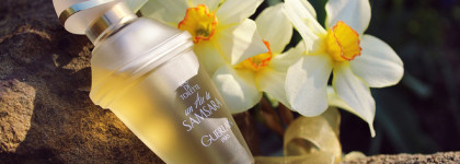 Разнообразие мятных ароматов