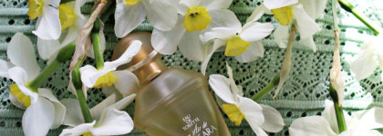 Разнообразие мятных ароматов