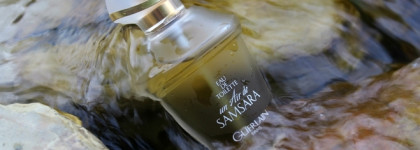 Разнообразие мятных ароматов