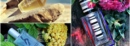 Разнообразие мятных ароматов