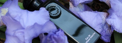 Моя коллекция ароматов Hermes