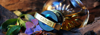 Прекрасная и женственная фиалка в парфюмерии