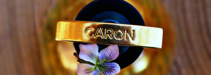 Прекрасная и женственная фиалка в парфюмерии