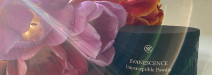 Компактная пудра Evanescence от Rouge Bunny Rouge в оттенке Aura: большой обзор