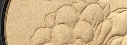 820 Пудра "Безупречное сияние" натуральная от Maria Galland Paris (10 Porcelaine)