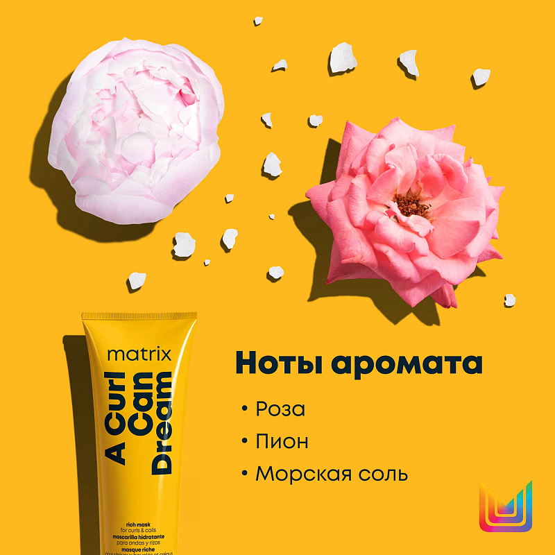 Matrix A Curl Can Dream, пирамида аромата