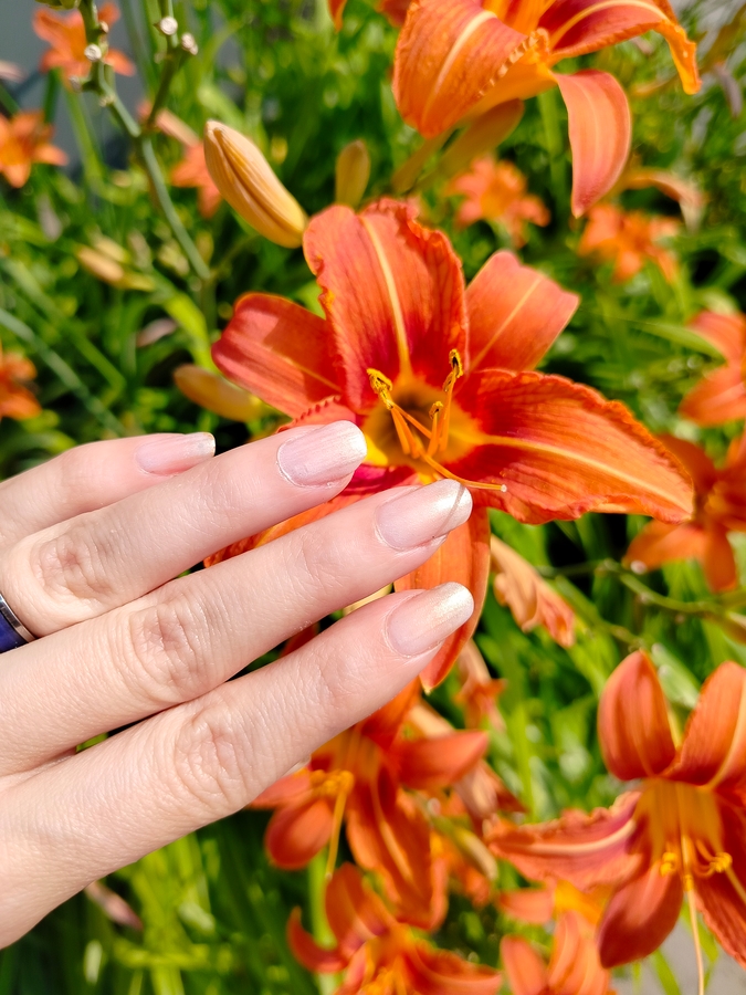 EL Corazon Active Bio-gel Color gel polish №423/2 в два слоя