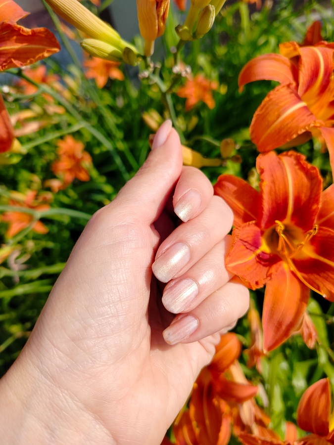 EL Corazon Active Bio-gel Color gel polish №423/2 в два слоя