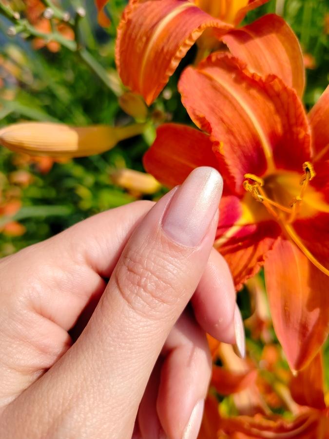 EL Corazon Active Bio-gel Color gel polish №423/2 в два слоя