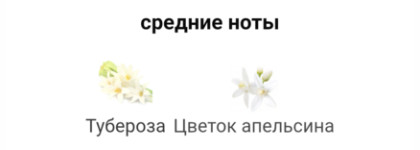 Ежевично-сливочная тубероза - Salvatore Ferragamo Signorina Misteriosa EDP