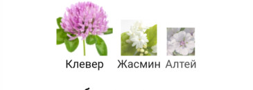 Жасминовый день: L'Occitane en Provence Herbae L'Eau - аромат прошедшего лета