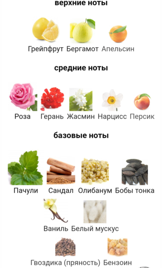 Самый осенний аромат для взрослых девочек - Chanel Coco Noir