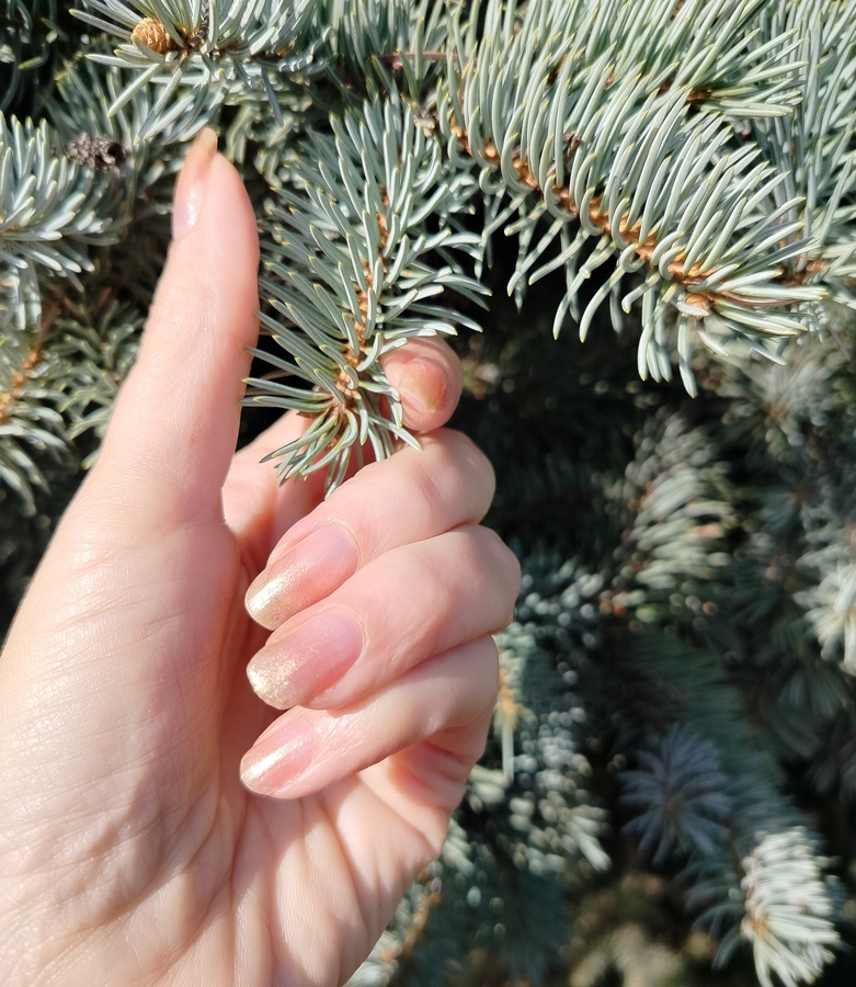 В два слоя на прозрачной базе