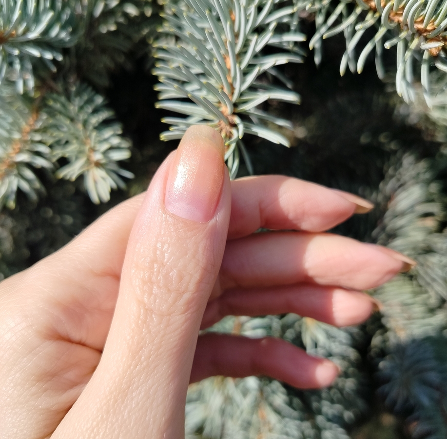 В два слоя на прозрачной базе