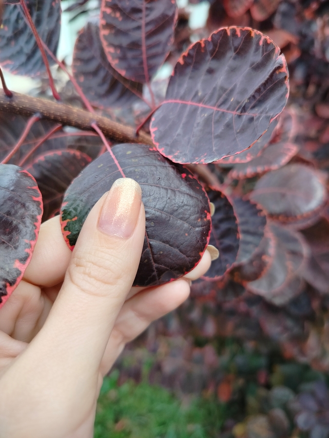 В один слой на нюдовой базе