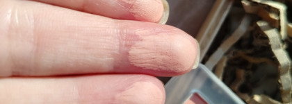 Румяна Zeesea Dessert Collection Powder Blush в оттенке 02 для эффекта "отдохнувшего" лица