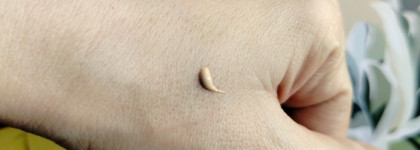 Garnier Ежедневный тонирующий солнцезащитный флюид "Совершенное Сияние" SPF 50