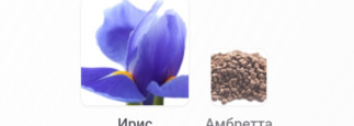 Iris Noir от Yves Rocher