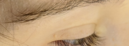 Фаворит года в категории "водостойкая тушь": Vivienne Sabo Cabaret Premiere Waterproof в оттенке 01