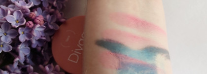 Пигментированные и очень стойкие румяна Solo Compact Blush от Divage в оттенке 04