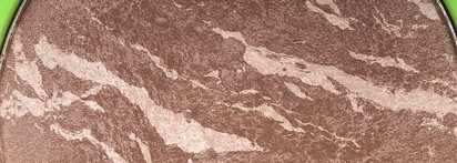 Летний скульптор-бронзер Pixie Dust от Beauty Bomb