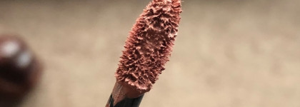 Стойкая помада от Essence 8 h Matte Liquid Lipstick в оттенке 04 Rosy nude