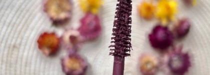 Достойны ли внимания два новых осенних оттенка популярных тушей Essence и Influence Beauty?