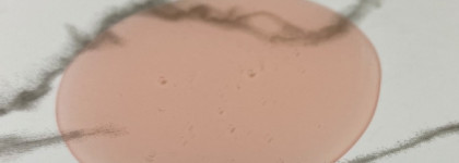 Ярко и сочно с гелями для душа Eat My Shower gel