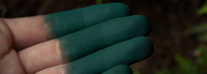 Палитра месяца с рассыпчатыми тенями Tammy Tanuka Лесная Союзница и помадой Lime Crime Lucky Me