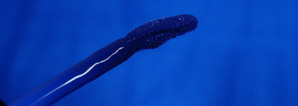 Палитра месяца c ультрастойкой помадой Nyx Shine Loud High Shine в цвете Disrupter